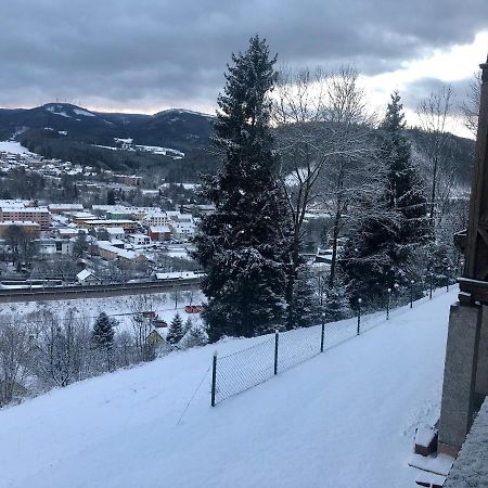 Lambach Villa Appartament 2 ミュルツツーシュラーク エクステリア 写真